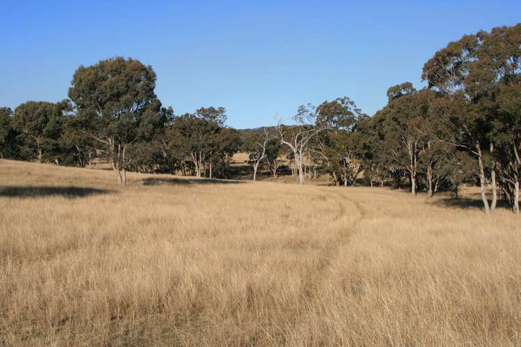 Third view of Homely ruralOther listing, Lot 237 Loloma Road, Warwick QLD 4370
