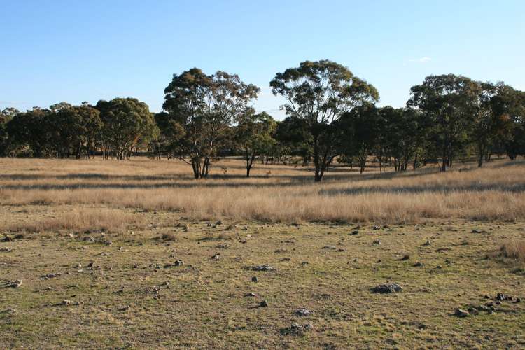 Fourth view of Homely ruralOther listing, Lot 237 Loloma Road, Warwick QLD 4370