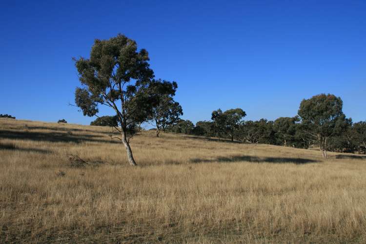 Fifth view of Homely ruralOther listing, Lot 237 Loloma Road, Warwick QLD 4370