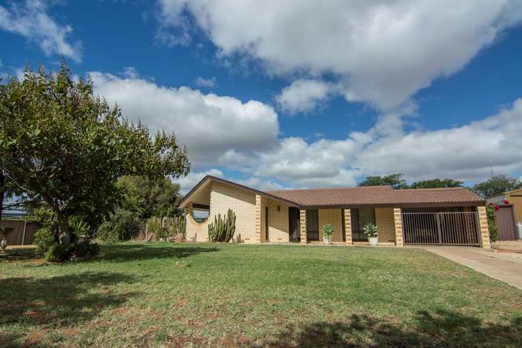 Main view of Homely house listing, 17504 Sturt Highway, Barmera SA 5345