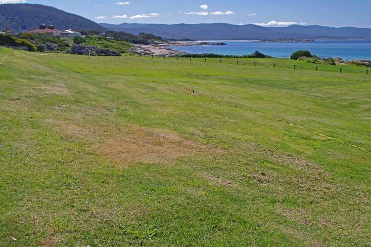 Fifth view of Homely residentialLand listing, 10 Jetty Rd, Bicheno TAS 7215