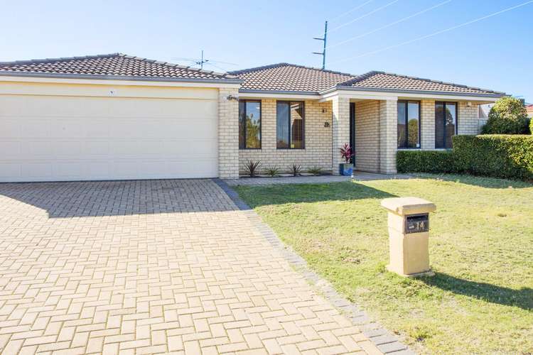 Main view of Homely house listing, 14 Samuel Loop, Canning Vale WA 6155