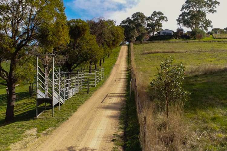 Sixth view of Homely acreageSemiRural listing, 90 Summit Road, Nairne SA 5252