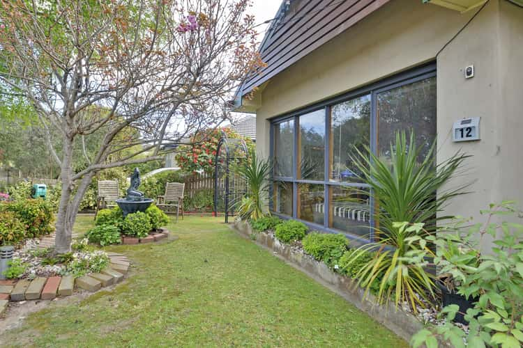 Main view of Homely house listing, 12 Rose Avenue, Traralgon VIC 3844