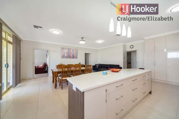 Fifth view of Homely house listing, 19 Boucaut Avenue, Blakeview SA 5114