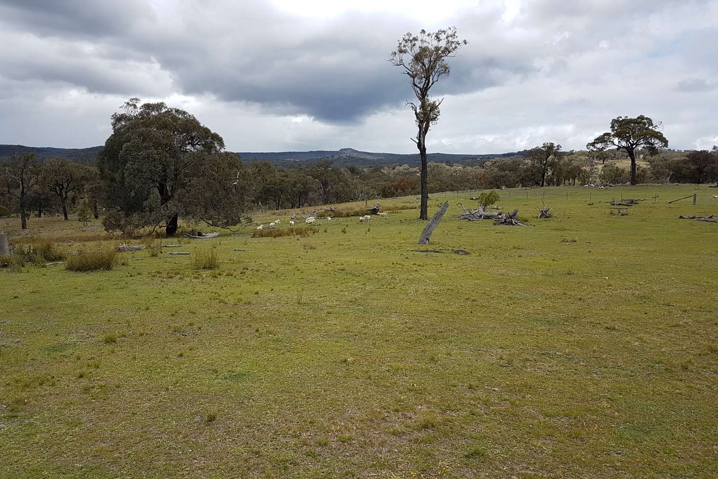 Main view of Homely ruralOther listing, Lot 1 Springdale Road, Glenlyon QLD 4380