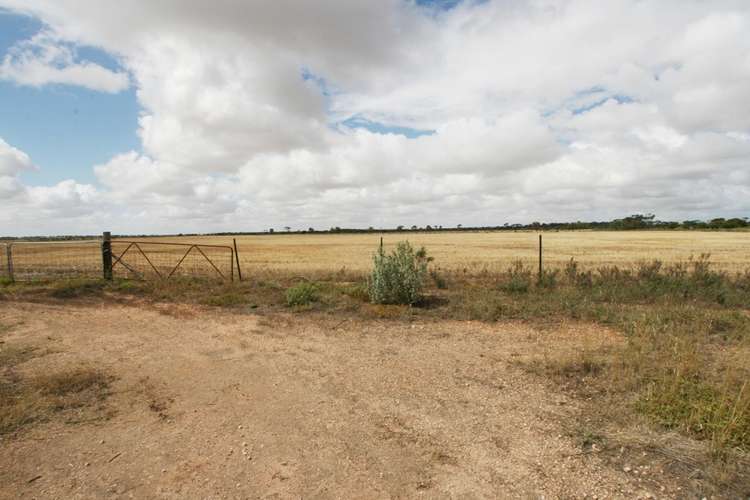 Main view of Homely ruralOther listing, Section/1312 Mines Road, Kadina SA 5554