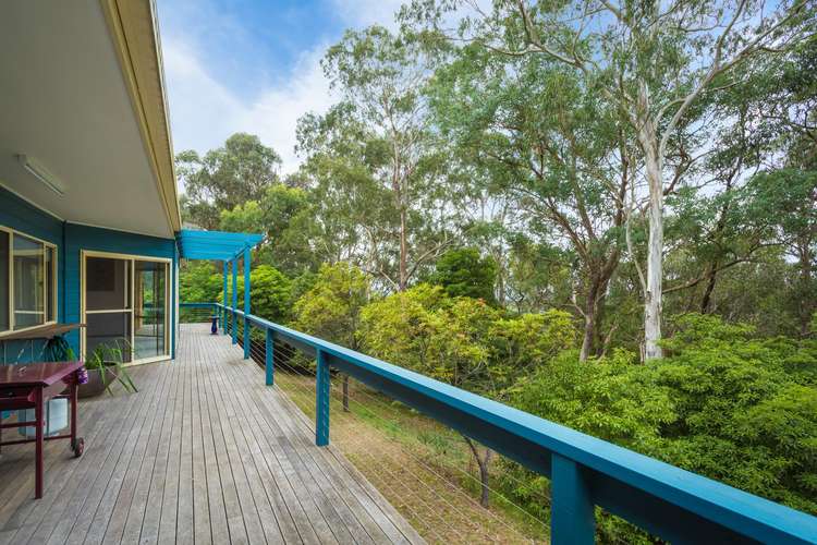 Third view of Homely ruralOther listing, 207 Black Range Road, Bega NSW 2550