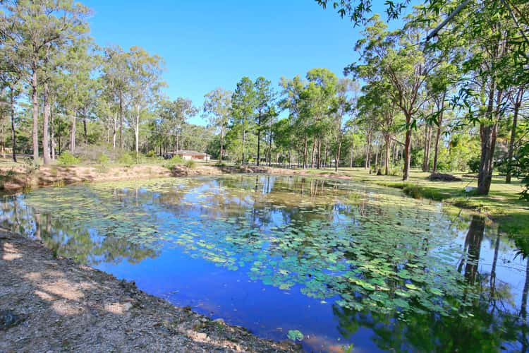 Second view of Homely acreageSemiRural listing, 69-81 Maranoa Drive, Logan Village QLD 4207