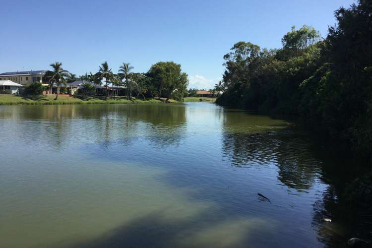 Fifth view of Homely house listing, 31 Lido Parade, Urangan QLD 4655