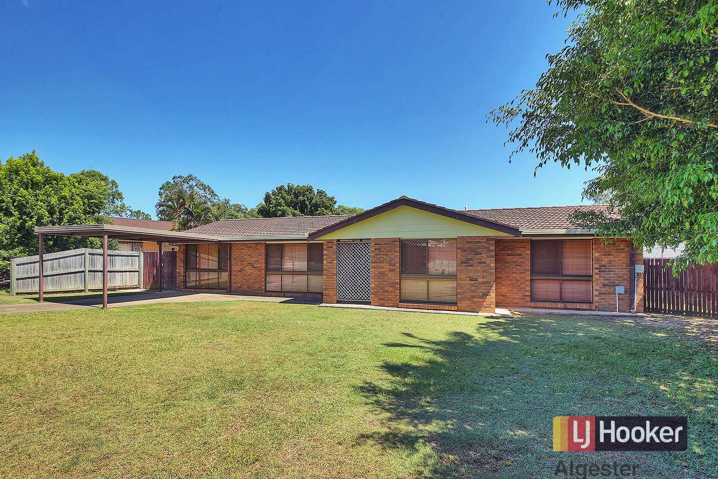 Main view of Homely house listing, 3 Cerbera Place, Algester QLD 4115