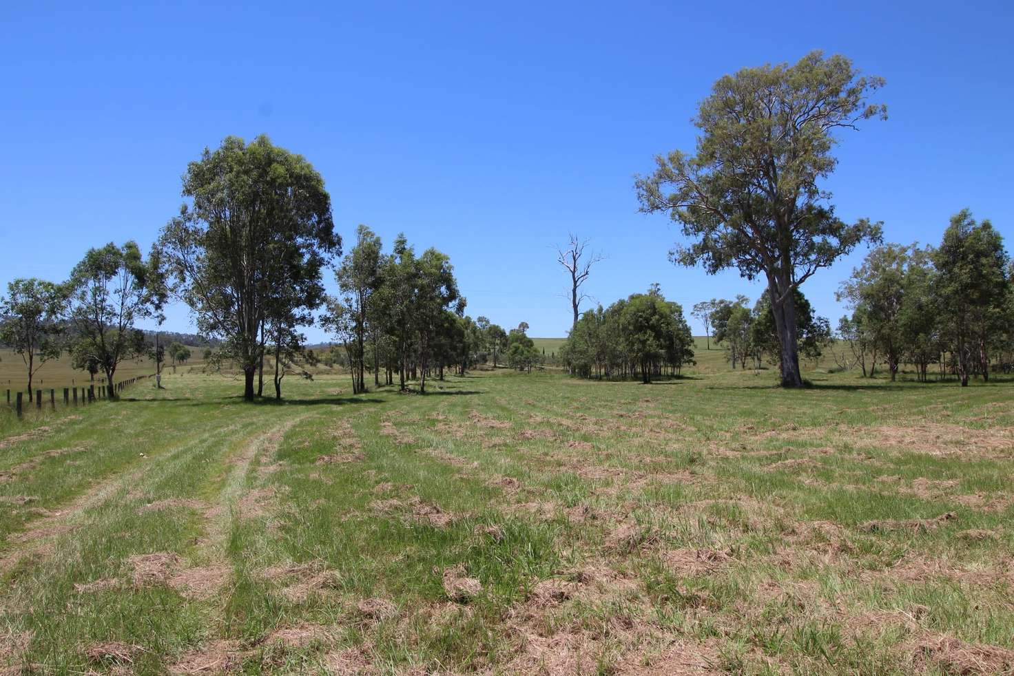 Main view of Homely ruralOther listing, 482 Esk Crows Nest Road, Biarra QLD 4313