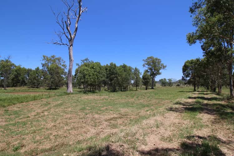 Second view of Homely ruralOther listing, 482 Esk Crows Nest Road, Biarra QLD 4313