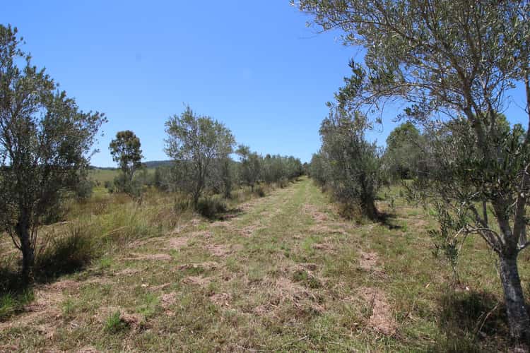Seventh view of Homely ruralOther listing, 482 Esk Crows Nest Road, Biarra QLD 4313