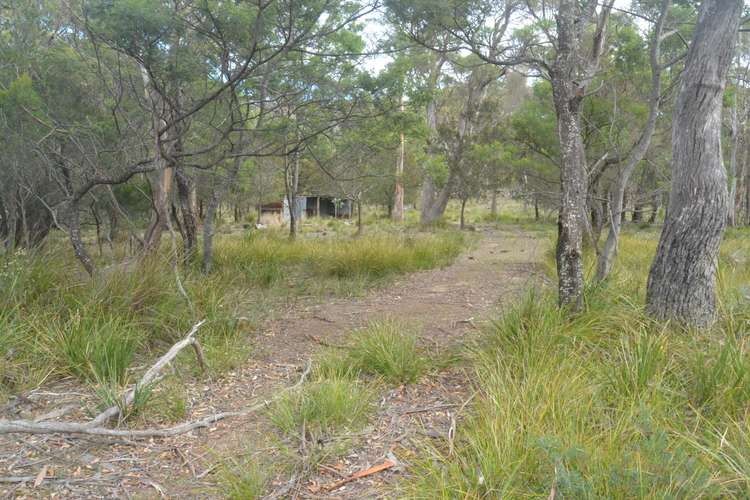 Fourth view of Homely residentialLand listing, 174 Rosedale Road, Bicheno TAS 7215
