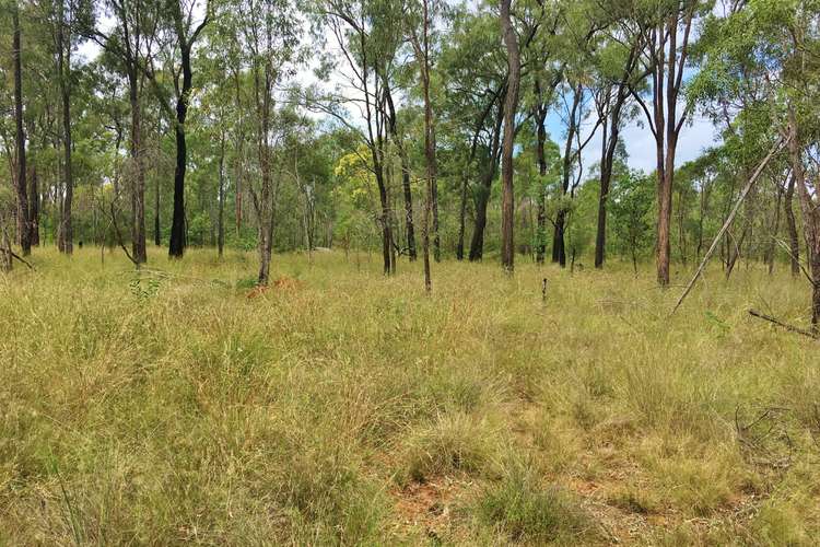 Seventh view of Homely ruralOther listing, Lot 2 Lawsons Broad Road, Coverty QLD 4613