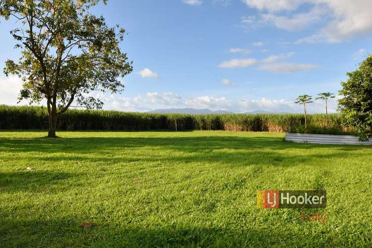 Third view of Homely house listing, 40 North Davidson Road, Munro Plains QLD 4854