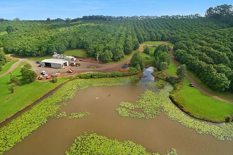 Main view of Homely ruralOther listing, 62 Munro Road, Dunoon NSW 2480