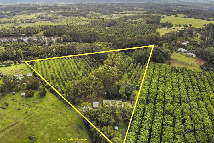 Third view of Homely acreageSemiRural listing, 272 Sneaths Road, Wollongbar NSW 2477