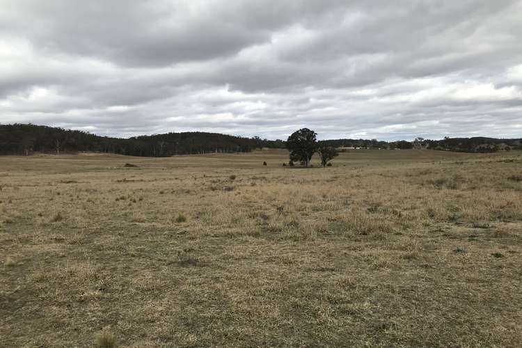 Second view of Homely ruralOther listing, 410 The Lookdown Road, Bungonia NSW 2580