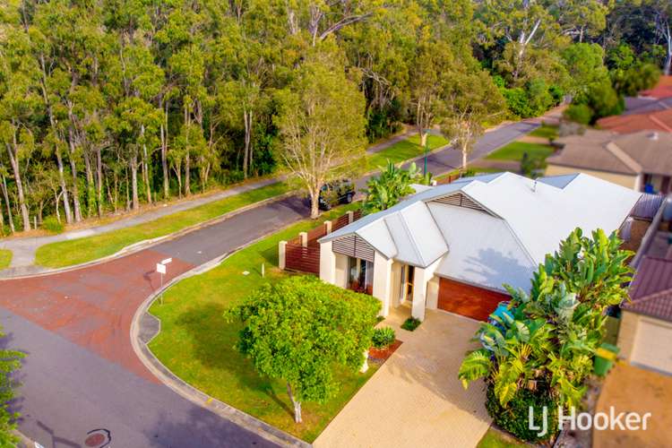 Main view of Homely house listing, 1 Lotus Close, Thornlands QLD 4164