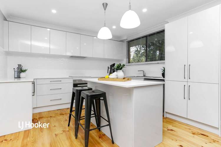 Third view of Homely house listing, 19 Mintanta Drive, Banksia Park SA 5091
