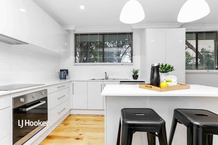 Fourth view of Homely house listing, 19 Mintanta Drive, Banksia Park SA 5091