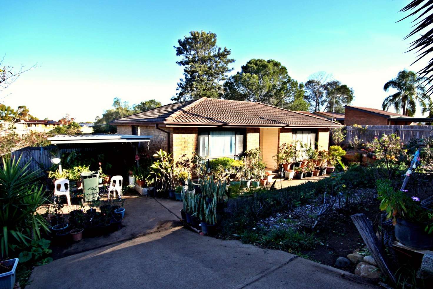 Main view of Homely house listing, 5 Waratah Lane, Aberdeen NSW 2336