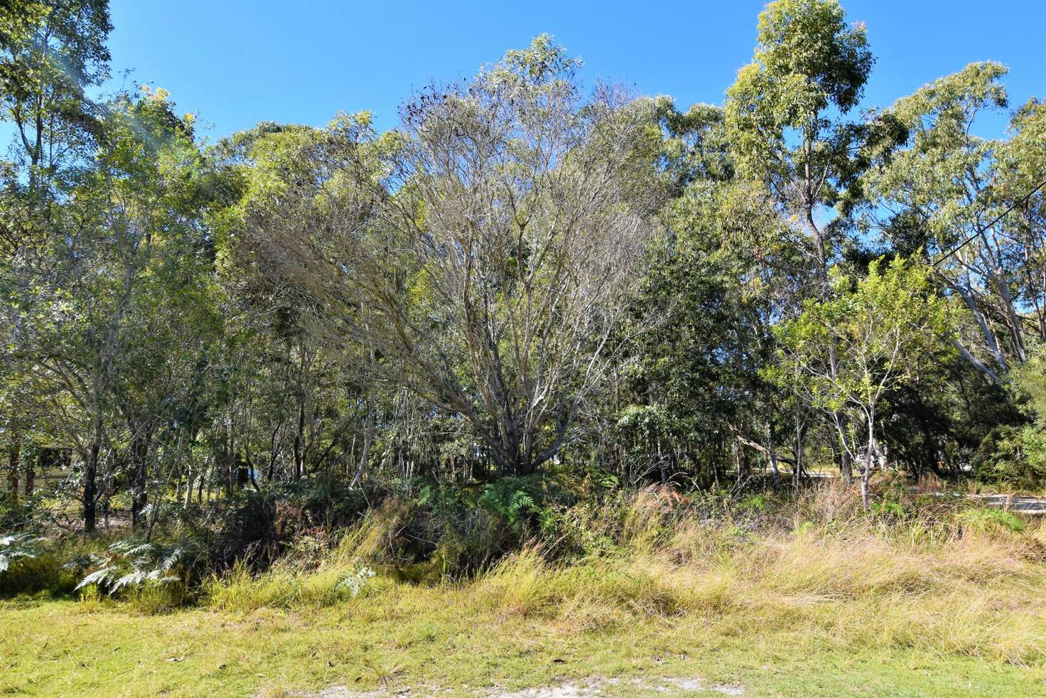 Main view of Homely residentialLand listing, 1 Tomewin Rd, Russell Island QLD 4184