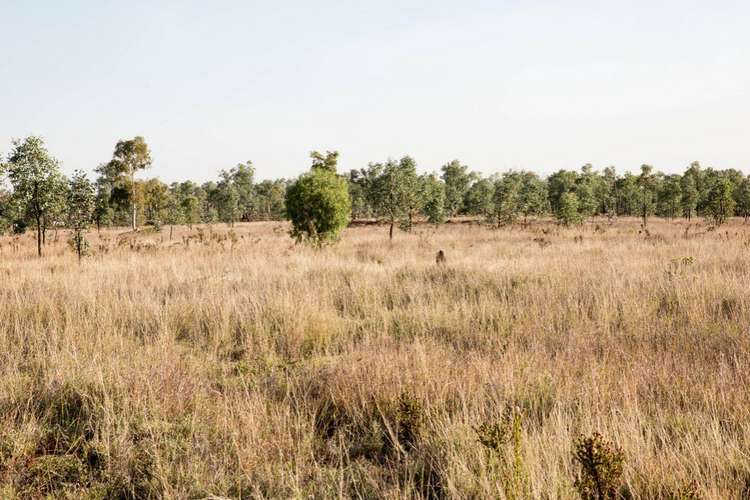 Second view of Homely acreageSemiRural listing, "The Grid"/661 Peakvale Road, Clermont QLD 4721