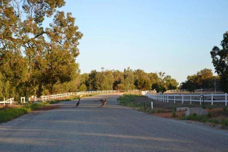 Main view of Homely residentialLand listing, 79 Tooday Glen, Chittering WA 6084