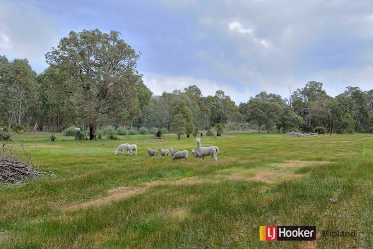 Fourth view of Homely residentialLand listing, 10263 Stoneville Road, Gidgegannup WA 6083