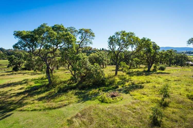 Second view of Homely residentialLand listing, Lot 4 DP 240604 East Street, Bega NSW 2550