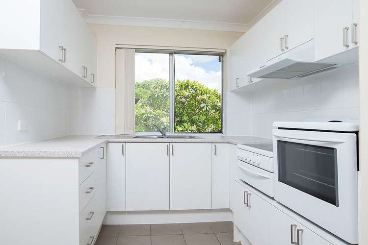 Second view of Homely apartment listing, 3/23 Joffre Street, Coorparoo QLD 4151