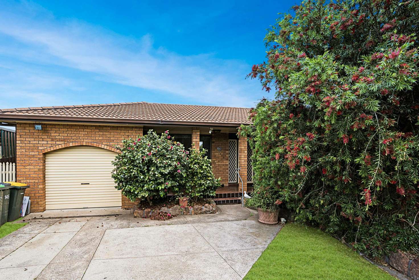 Main view of Homely house listing, 145 Paterson Road, Bolwarra NSW 2320