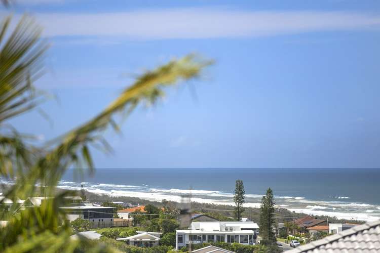 43 Parakeet Crescent, Peregian Beach QLD 4573