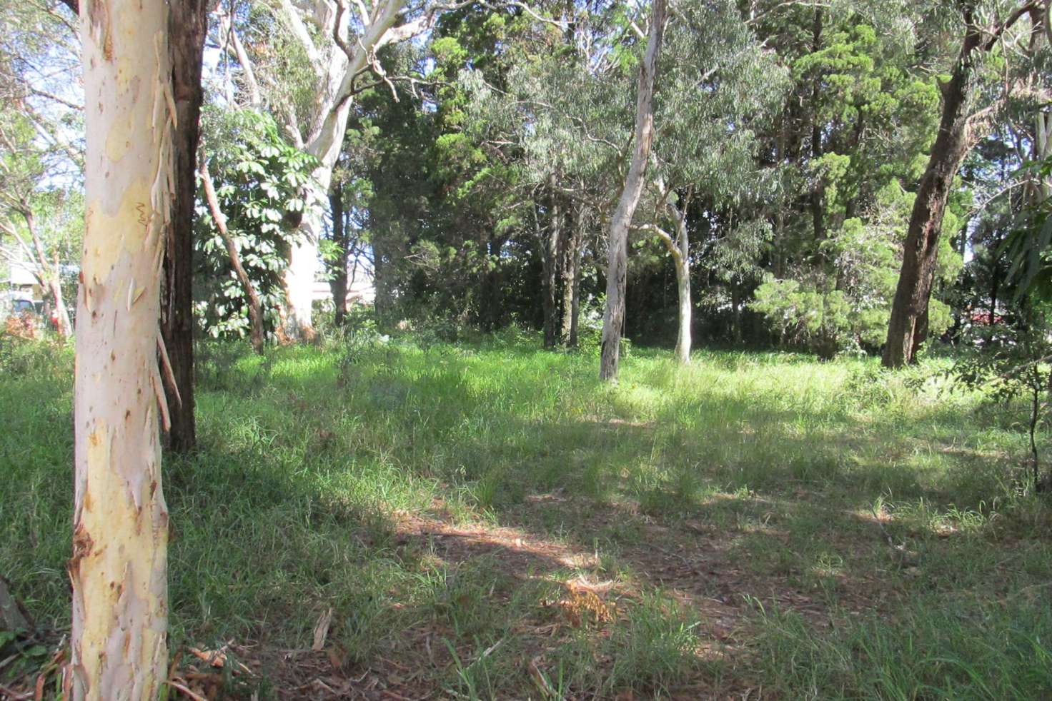Main view of Homely residentialLand listing, 10 Orion Street, Macleay Island QLD 4184