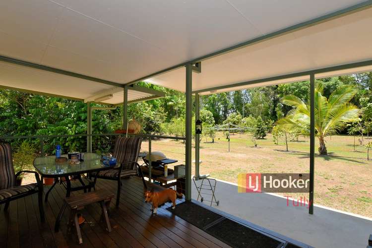 Fourth view of Homely house listing, 62 Paradise Palm Drive, Tully Heads QLD 4854