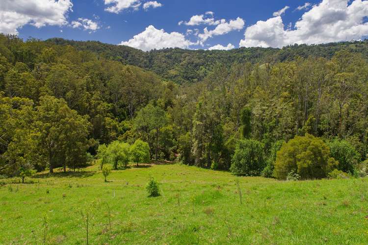 Sixth view of Homely ruralOther listing, 2001 Toms Creek Road, Ellenborough NSW 2446