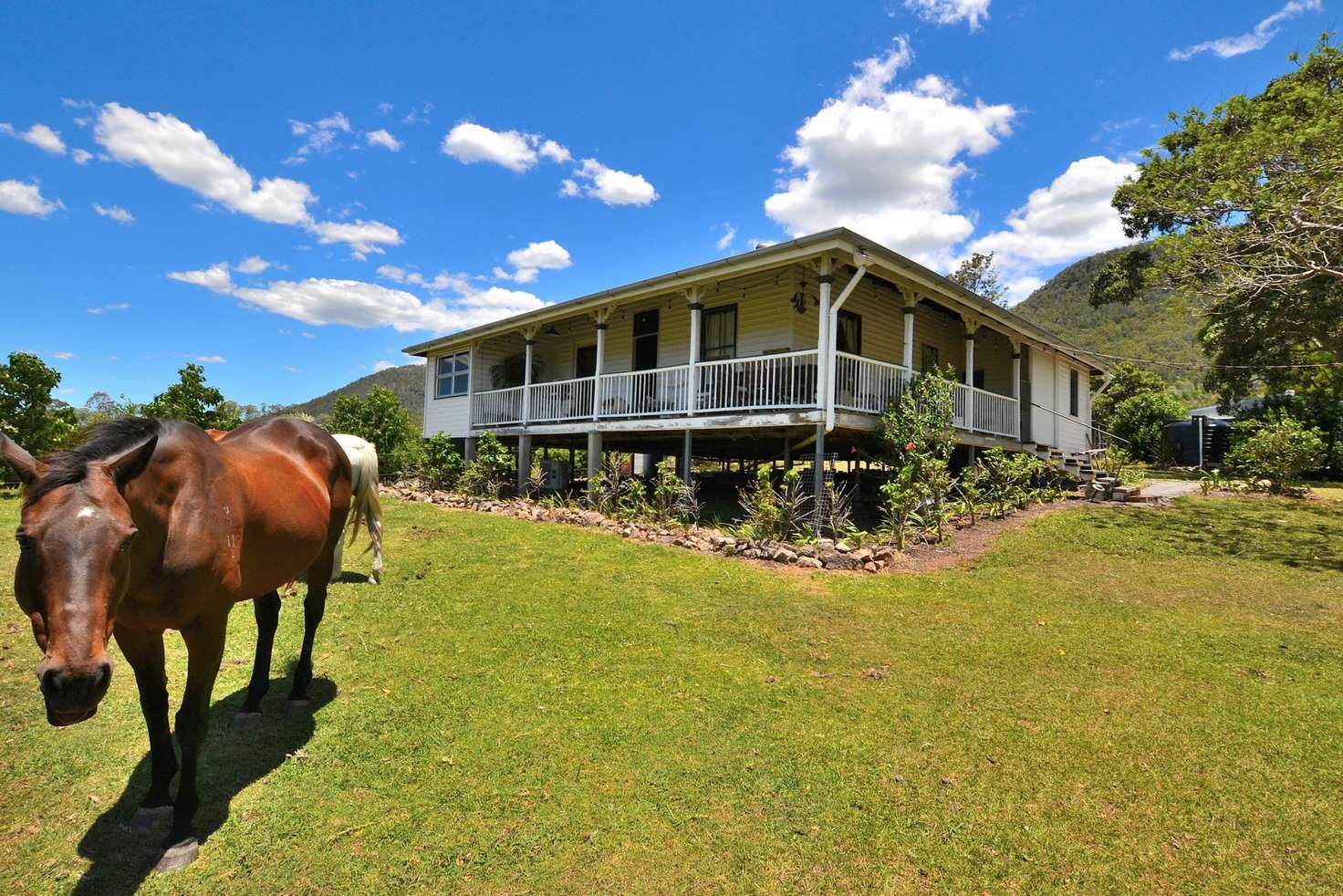 Main view of Homely house listing, 49 Myleema Road, Mount Archer QLD 4514
