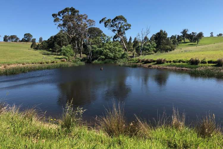 Main view of Homely residentialLand listing, 10972 Princes Hwy, Cobargo NSW 2550