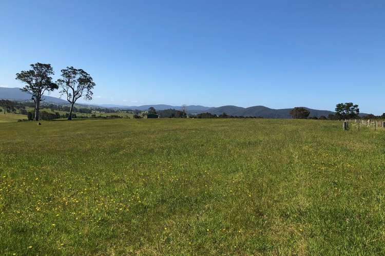 Fourth view of Homely residentialLand listing, 10972 Princes Hwy, Cobargo NSW 2550
