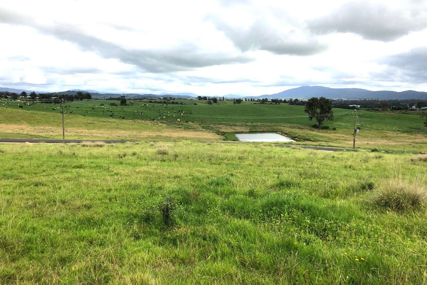 Main view of Homely residentialLand listing, Lot 203 Barrumbarra Place, Bega NSW 2550