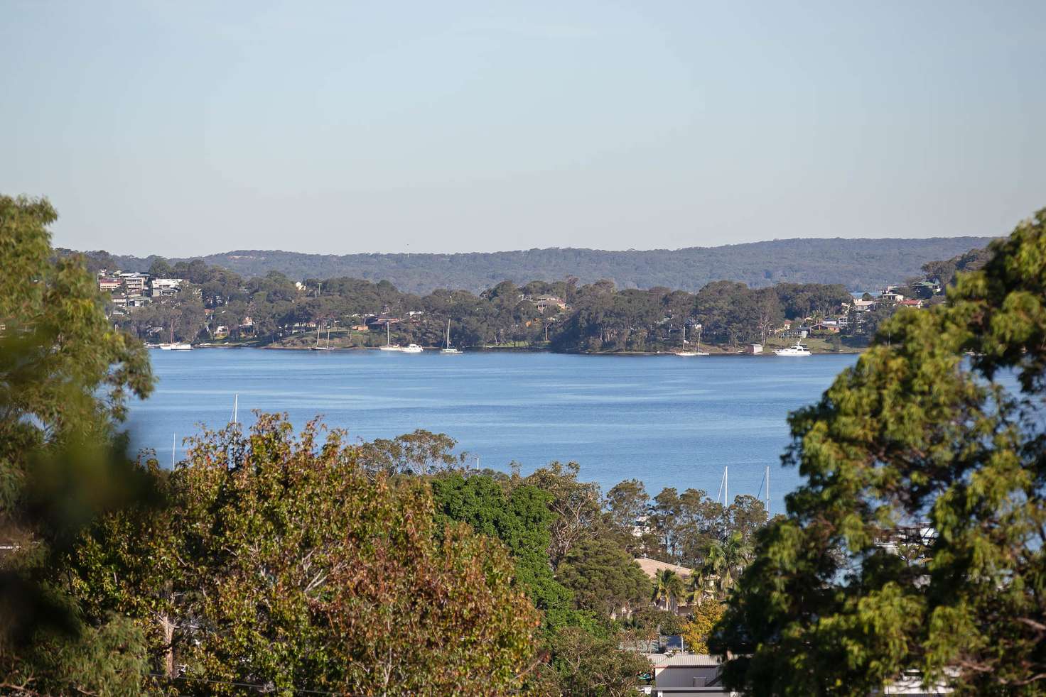 Main view of Homely house listing, 19 Bournville Road, Rathmines NSW 2283