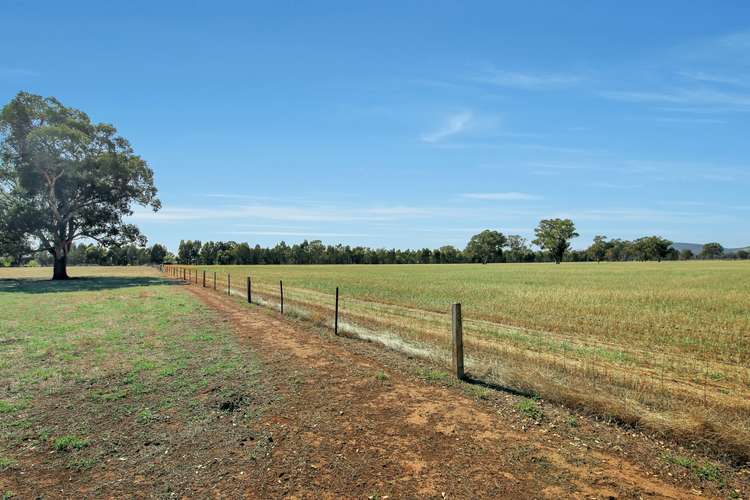 Third view of Homely ruralOther listing, 87 Cook Road, Baddaginnie VIC 3670