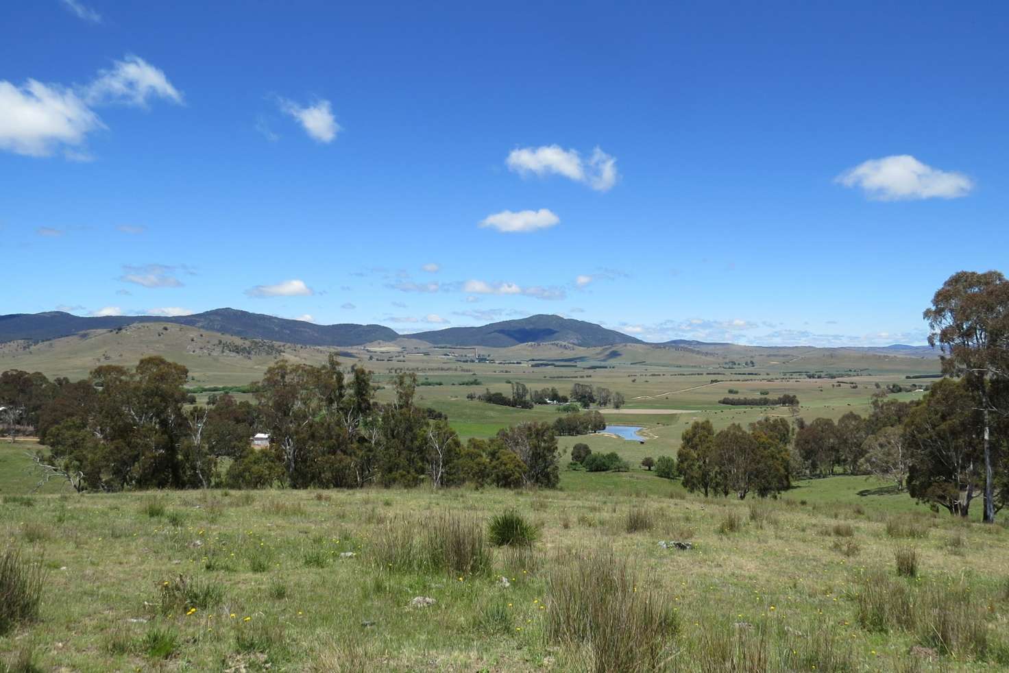 Main view of Homely ruralOther listing, 155 McKinnons Road, Benambra VIC 3900