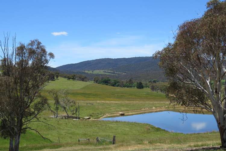 Second view of Homely ruralOther listing, 155 McKinnons Road, Benambra VIC 3900