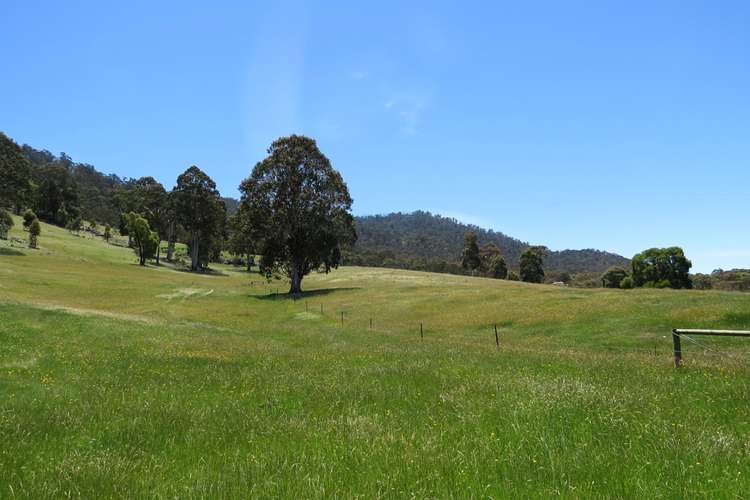 Seventh view of Homely ruralOther listing, 155 McKinnons Road, Benambra VIC 3900