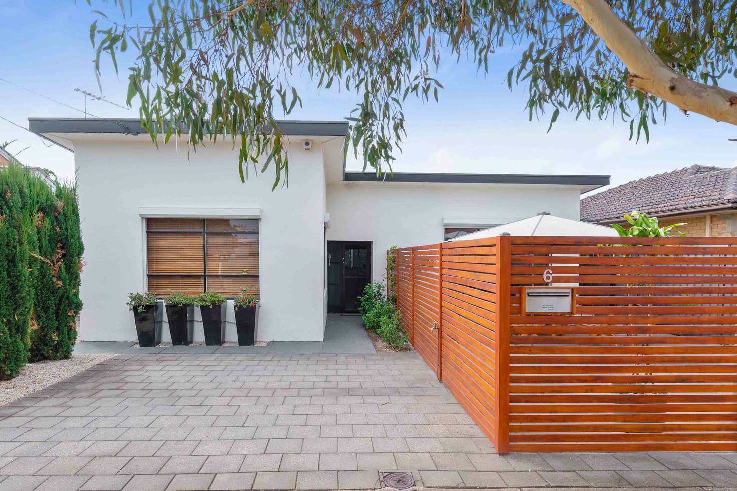Main view of Homely house listing, 6 Young Avenue, West Hindmarsh SA 5007