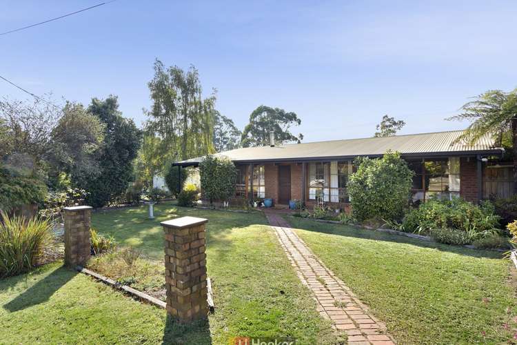 Main view of Homely house listing, 31 Grant Street, Forrest VIC 3236